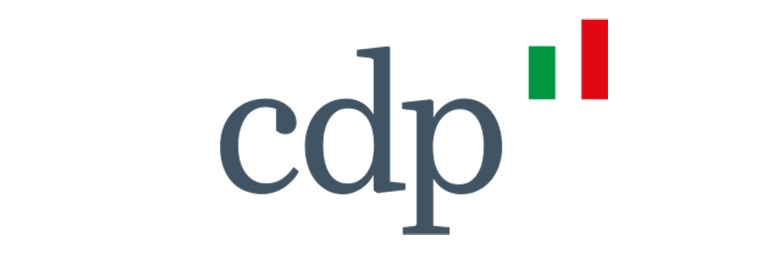 PARTNERS-CDP