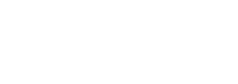 PARTNERS-VERTIS