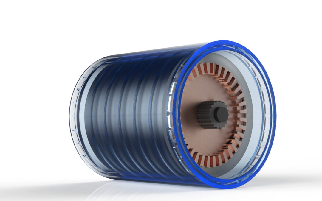 DT Application for Electric Motor IPM