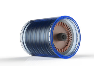 DT Application for Electric Motor IPM